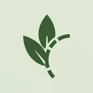 Sage Wellness